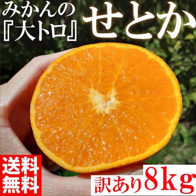 せとか ＜別名-みかんの大トロ＞ 和歌山県有田川町産 オレンジ 家庭用 8kg