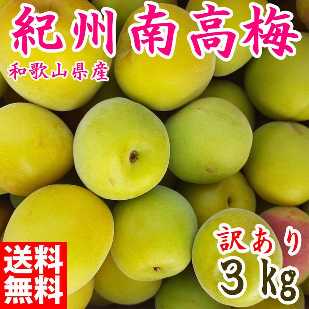 青梅 約3kg 訳あり 紀州南高梅 シロップ・梅酒・梅干し用など 和歌山県有田産 2026年5月下旬～7月上旬発送予定