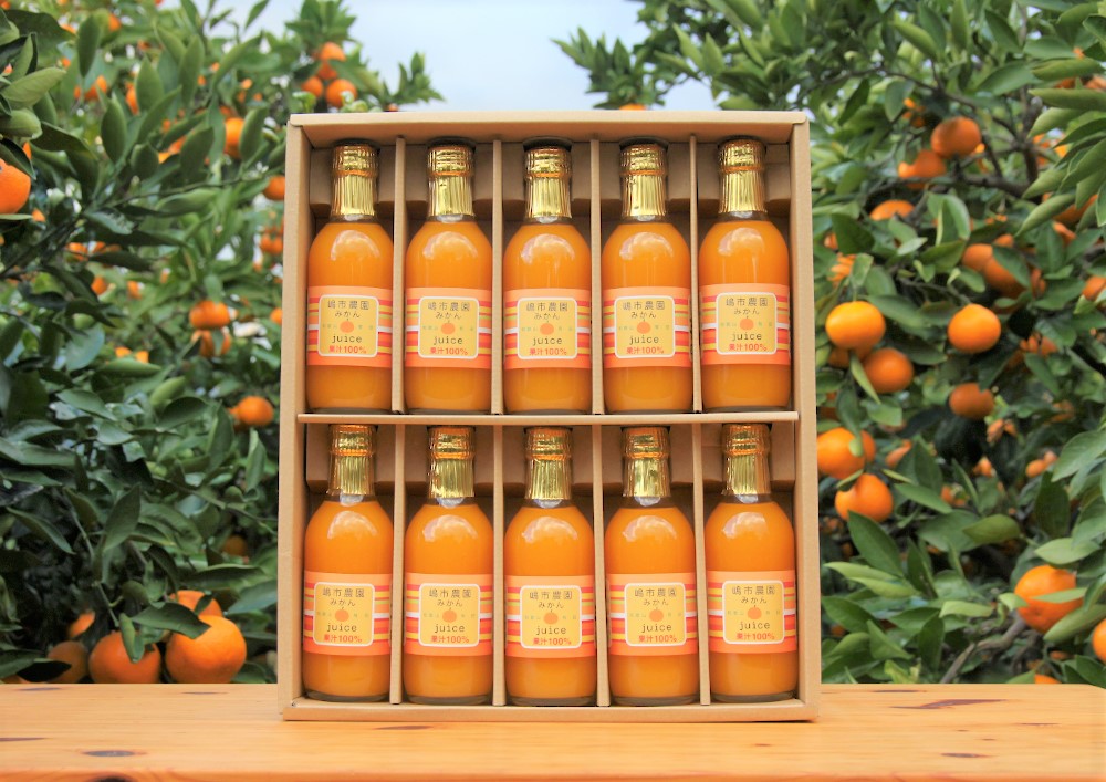 100％ みかんジュース 200ml 合計10本 セット ストレート 無添加 嶋市農園 ｜ 和歌山有田 丸絞り 和歌山 有田 国産 果汁