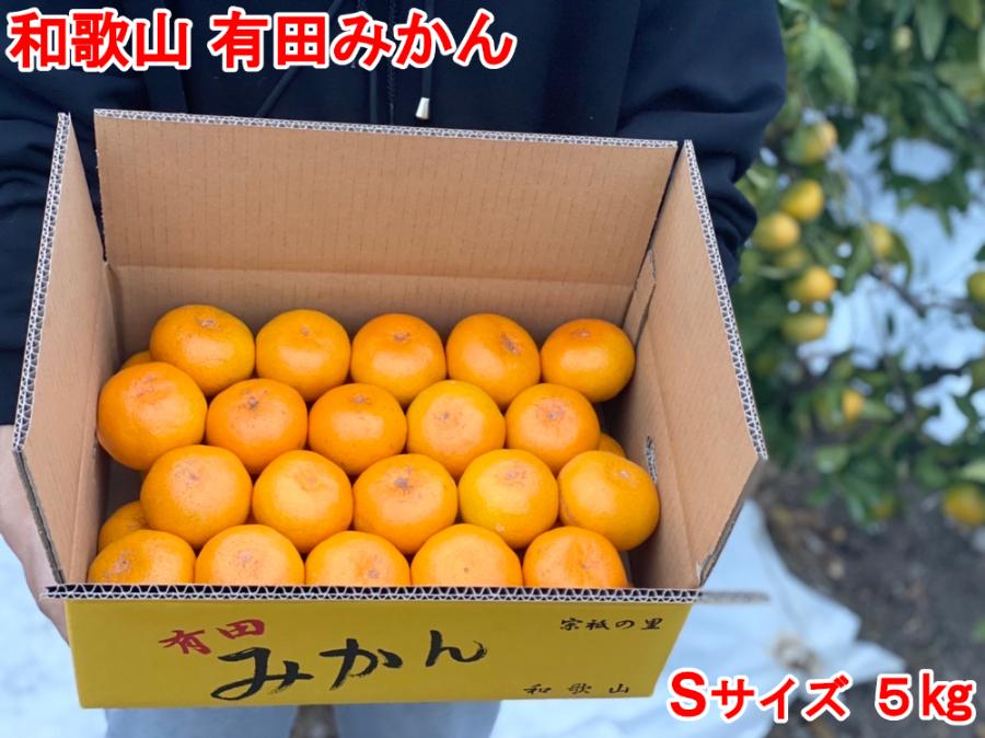 ［秀品・サイズＳ］まる隆果樹園　和歌山有田産！早生みかん≪5ｋｇ≫［予約販売］［数量限定］