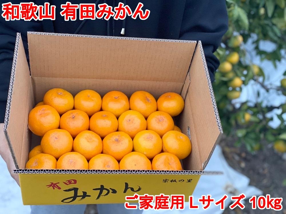 ［ご家庭用・サイズＬ］和歌山有田産！早生みかん≪10kg≫［予約販売］［数量限定］まる隆果樹園
