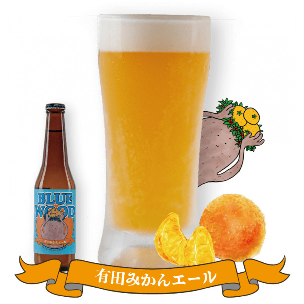 クラフトビール 有田みかんエール 3本セット