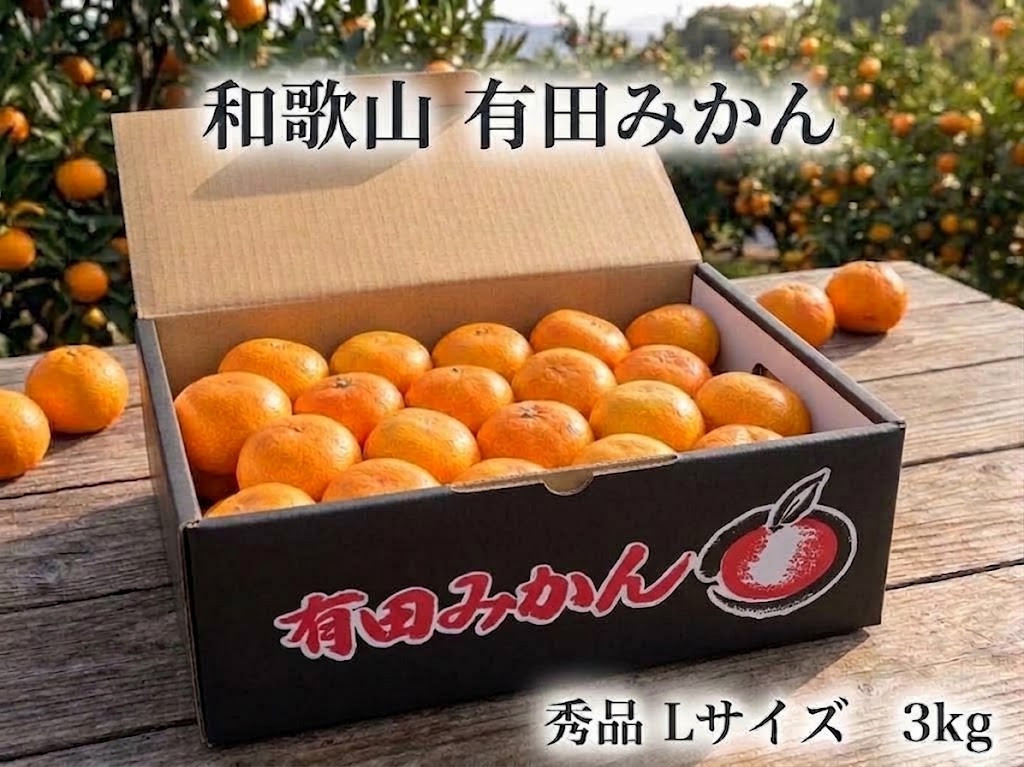 ［秀品・サイズＬ］まる隆果樹園　和歌山有田産！早生みかん≪3kg≫［予約販売］