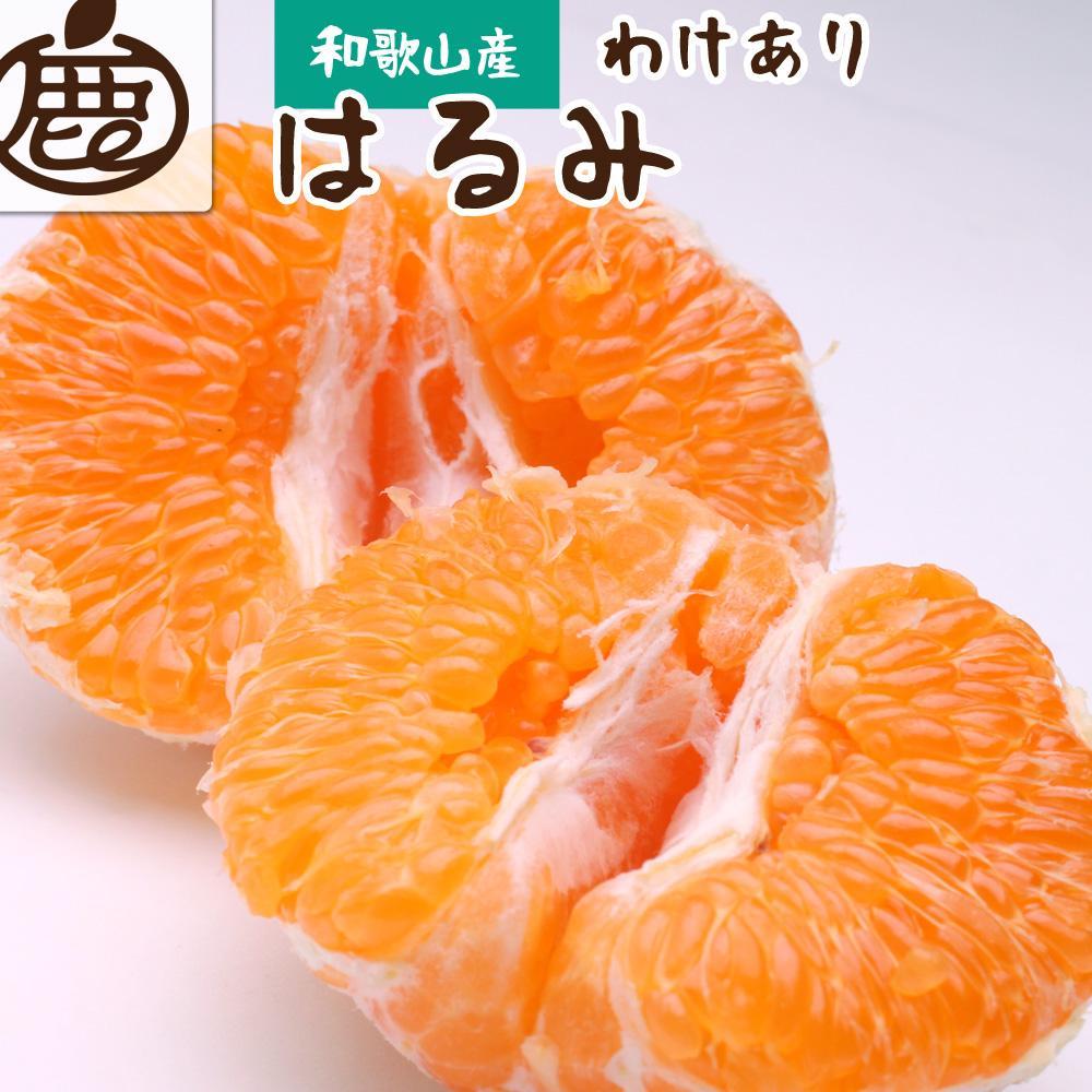 ［先行予約］家庭用 はるみ5kg+250g（傷み補償分）［デコポンの姉妹品種・新食感春みかん］［光センサー選別］［わけあり・訳あり］