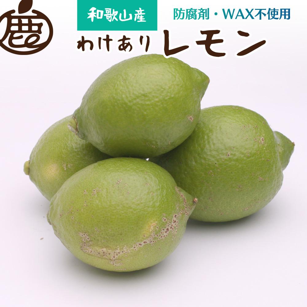 ［先行予約］わけあり レモン5kg+250g（傷み補償分）［和歌山有田産］［防腐剤・WAX不使用、安心の国産レモン］［わけあり・訳ありレモン］