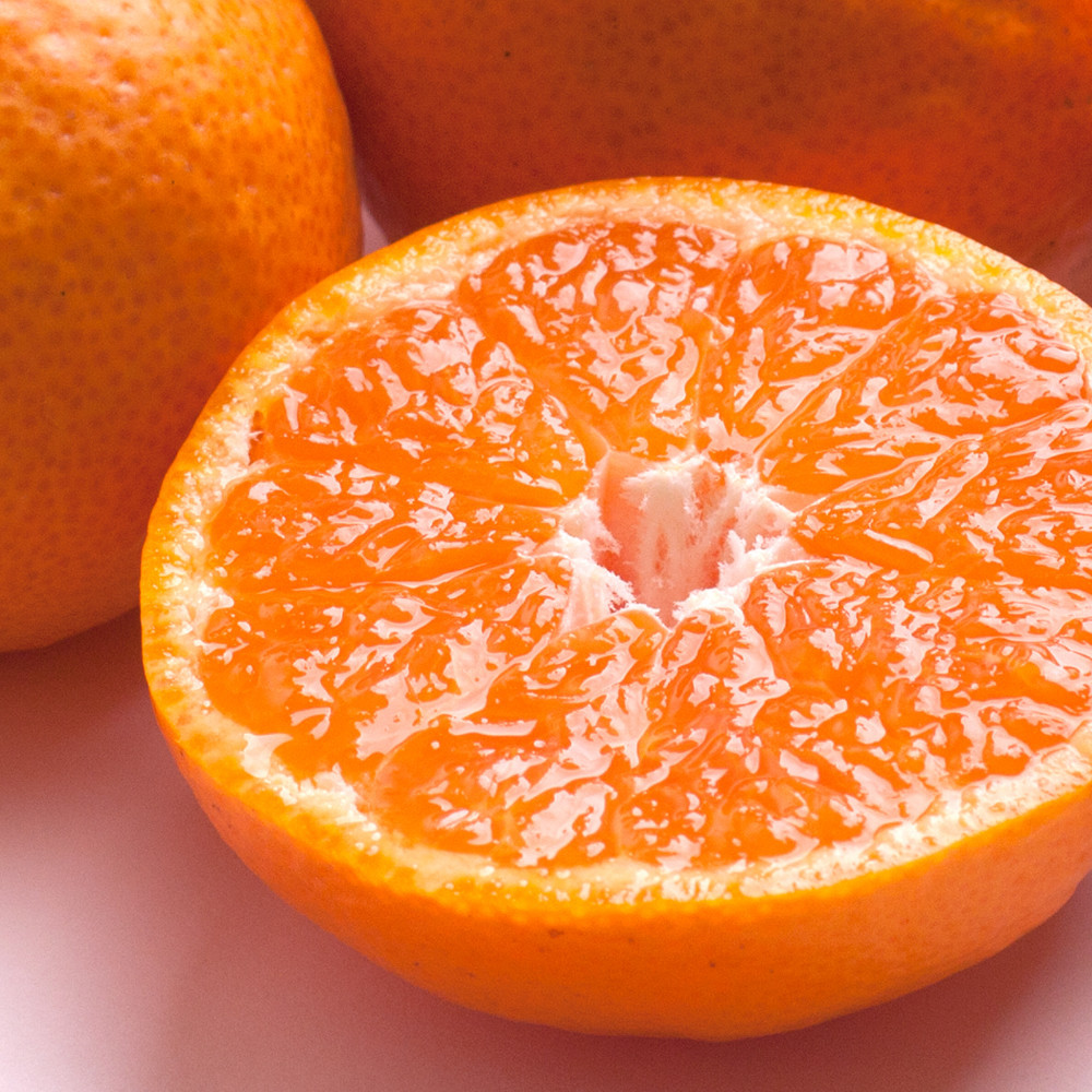 極プレミアム有田みかん 約2.5kg 定期便 全3回 10月・11月・12月発送