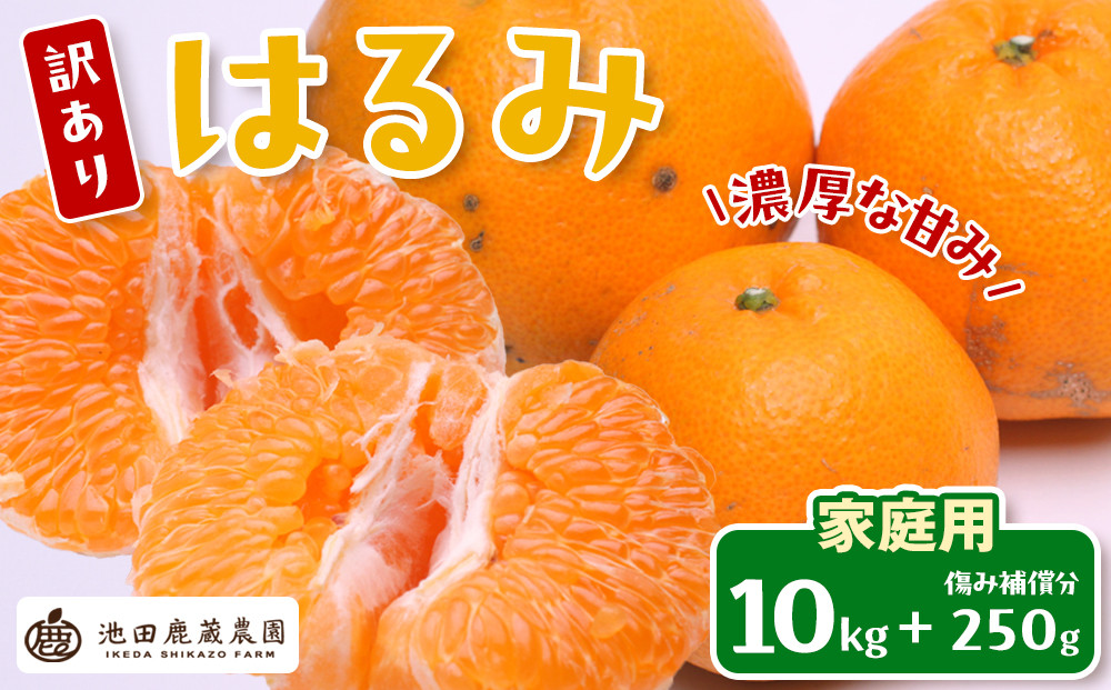 ［先行予約］家庭用 はるみ10kg+250g（傷み補償分）［デコポンの姉妹品種・新食感春みかん］［わけあり・訳あり］