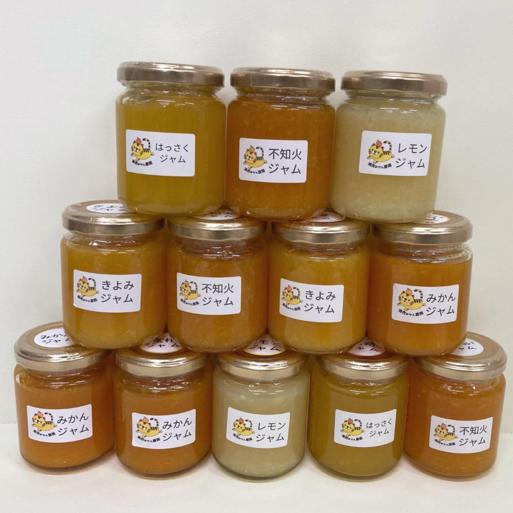 【2026年3月以降順次発送】数量限定！店主にお任せ 無添加 柑橘ジャム140ｇ×12個