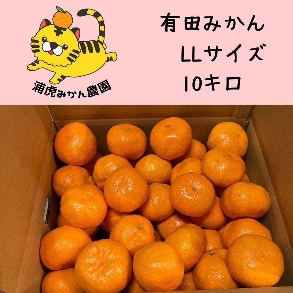 12/23までにご入金確認分は年内発送確定！きれいな温州みかん 寄贈用にお勧め LLサイズ 箱込み10kg