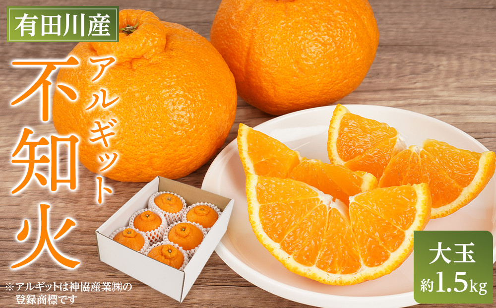 アルギット 不知火 約1.5kg 大玉 サイズ（5～6玉）| 先行予約 不知火 デコ みかん 甘い おいしい ジューシー 完熟 期間限定 数量限定 フルーツ 果物 柑橘 人気 おすすめ 高級 こだわり ギフト 旬 お取り寄せ 送料無料 和歌山 有田川町