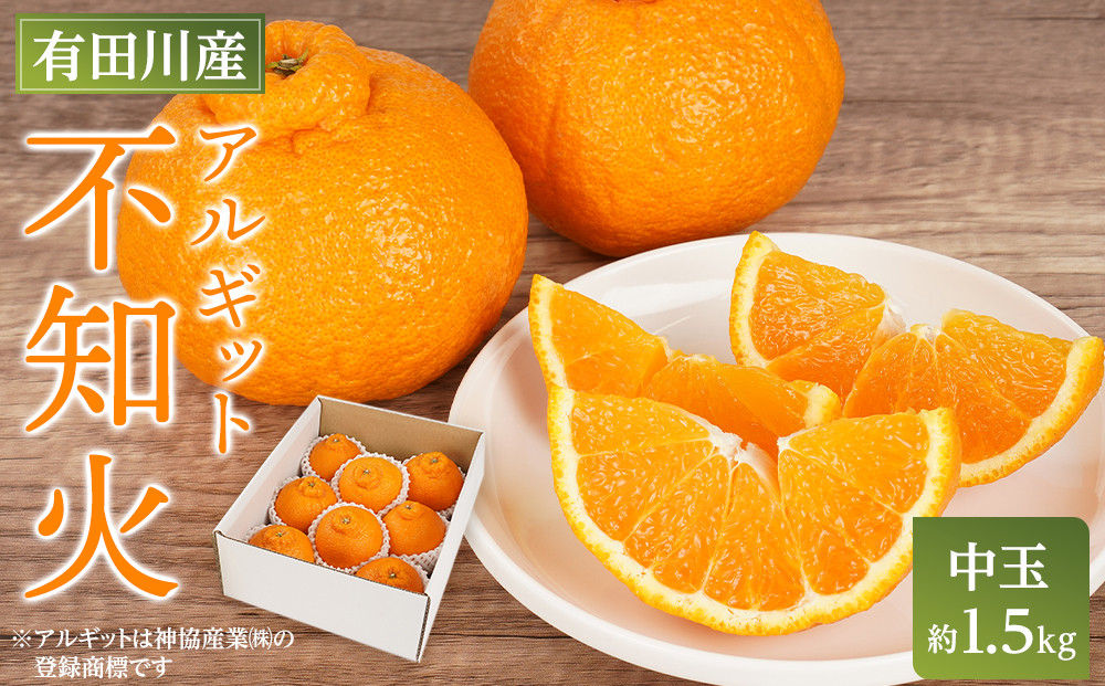 アルギット 不知火 約1.5kg 中玉 サイズ（7～8玉）| 先行予約 不知火 デコ みかん 甘い おいしい ジューシー 完熟 期間限定 数量限定 フルーツ 果物 柑橘 人気 おすすめ 高級 こだわり ギフト 旬 お取り寄せ 送料無料 和歌山 有田川町