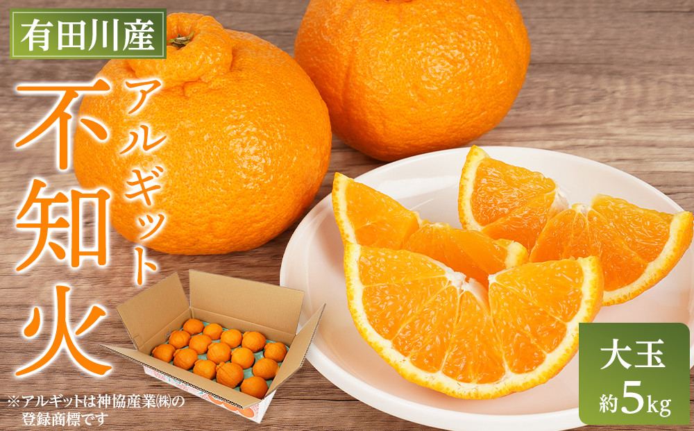 アルギット 不知火 約5kg 大玉 サイズ（15～18玉）| 先行予約 不知火 デコ みかん 甘い おいしい ジューシー 完熟 期間限定 数量限定 フルーツ 果物 柑橘 人気 おすすめ 高級 こだわり ギフト 旬 お取り寄せ 送料無料 和歌山 有田川町