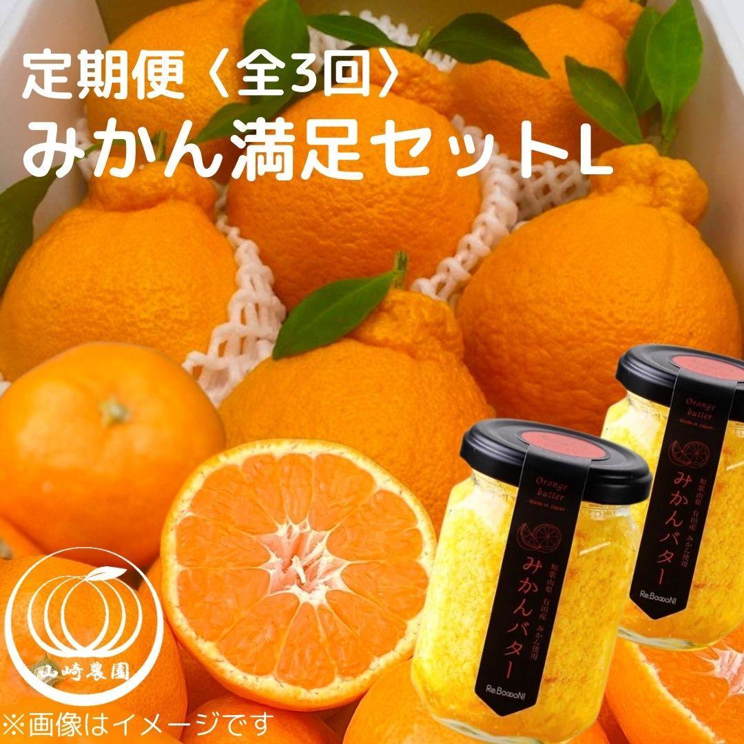 みかん満足セットL | 定期便 全3回 フルーツ みかん 不知火 みかんバター 12月～2月