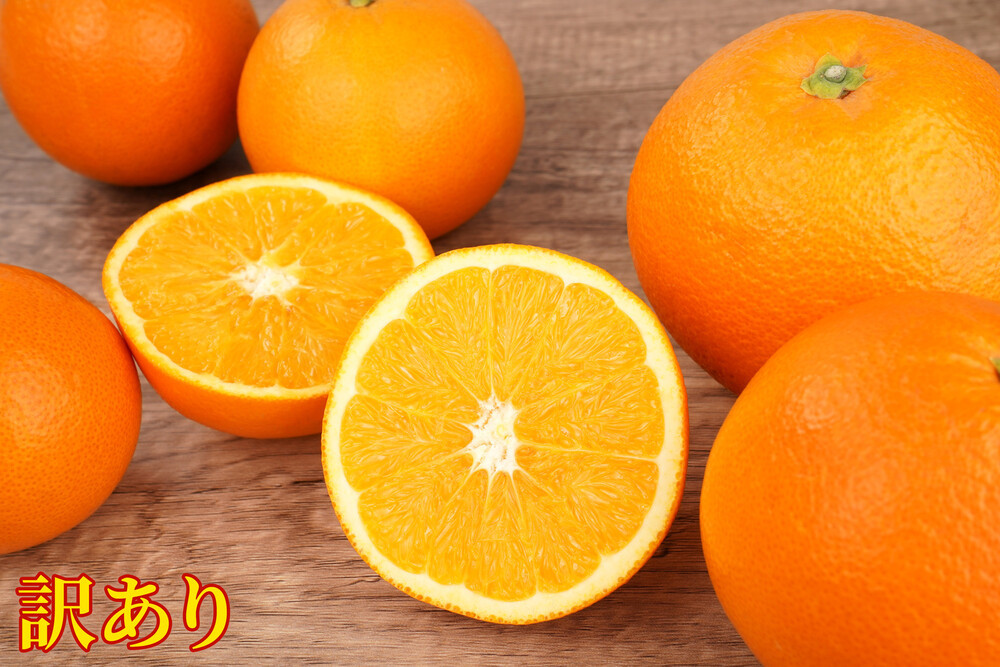 訳あり ネーブルオレンジ 約5kg サイズおまかせ アルギット 栽培 国産 甘い おいしい ジューシー 皮 薄い 完熟 期間限定 フルーツ 果物 人気 おすすめ 高級 こだわり ギフト 旬 山崎農園 和歌山