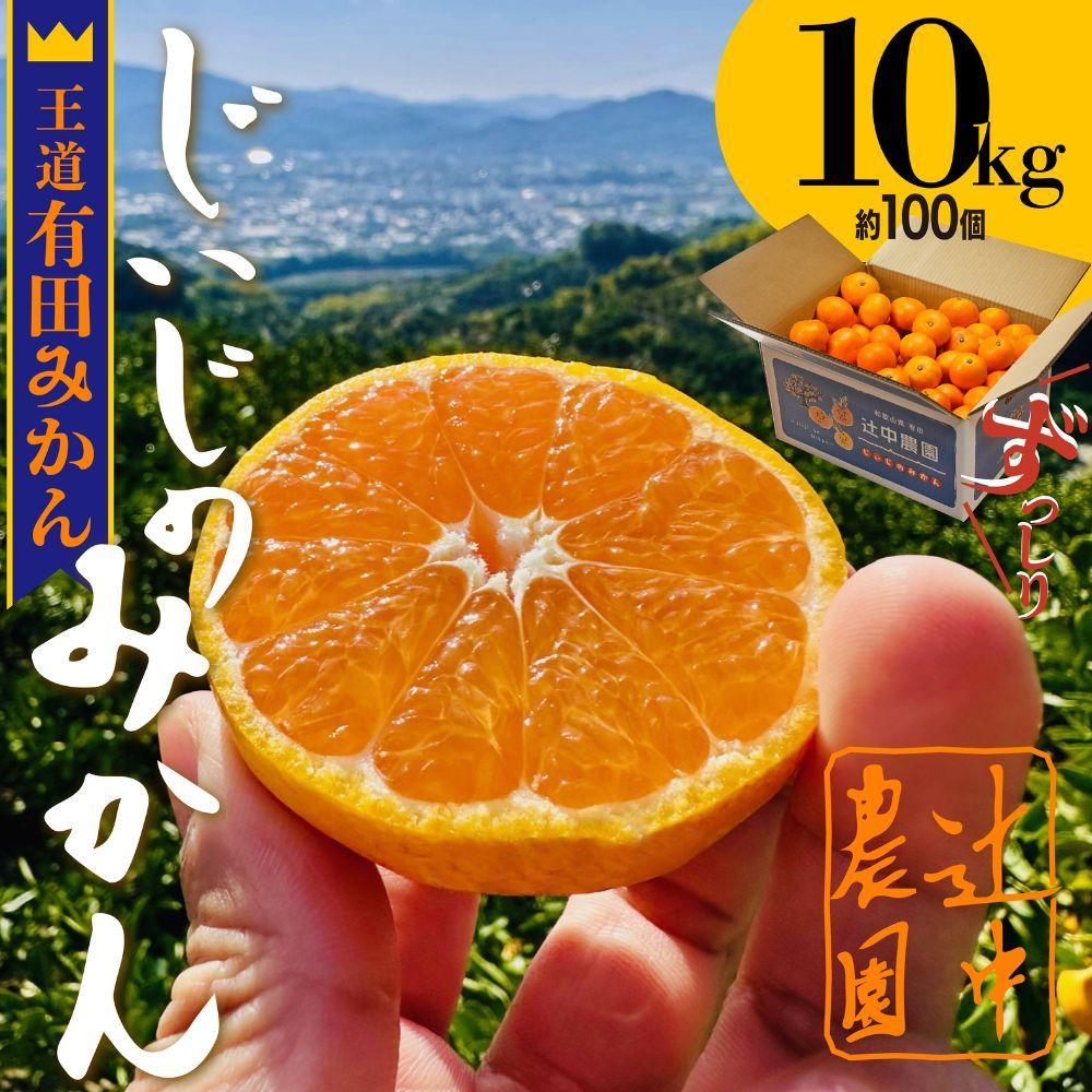 本場有田みかん じぃじのみかん10kg