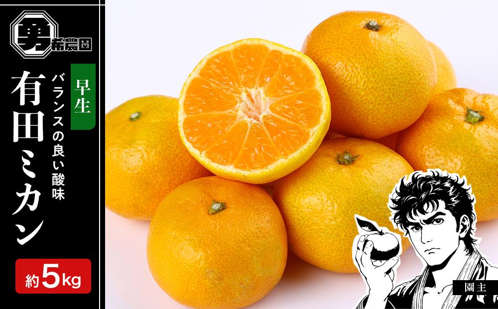 先行予約早生みかん 約5kg サイズ混合 和歌山県 有田みかん  2025年11月中旬頃発送
