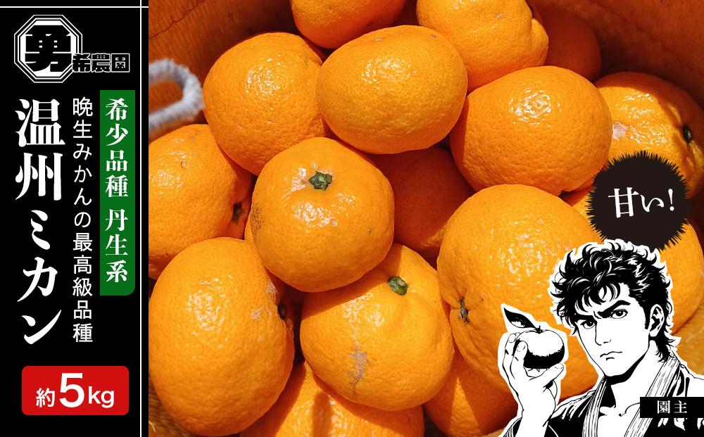 先行予約希少品種 丹生系 温州みかん 5kg  秀・優混合 サイズ混合 2026年2月中旬頃発送
