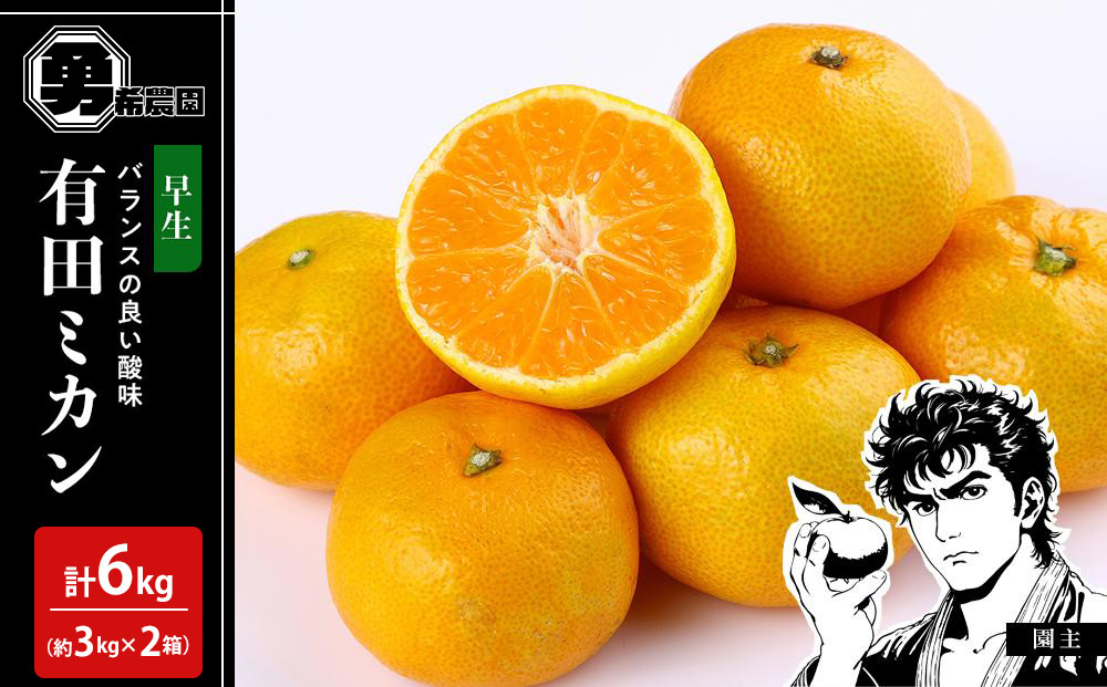 先行予約早生みかん 約6kg（約3kg×2箱）サイズ混合 和歌山県 有田みかん 2025年11月中旬頃発送