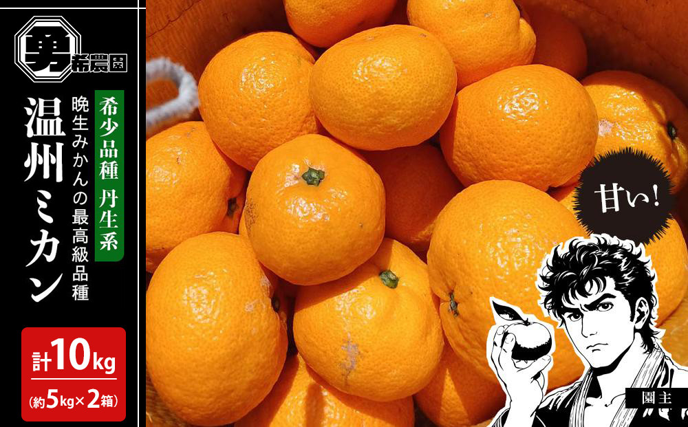 先行予約希少品種 丹生系 温州みかん 約10kg （約5kg×2箱） 秀・優混合 サイズ混合 2026年2月中旬頃発送
