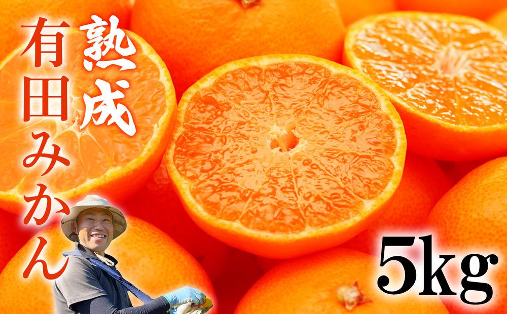 熟成　有田みかん 5kg（約50個）