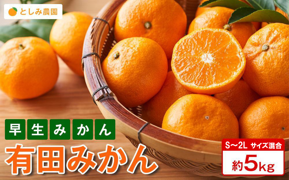 有田みかん 早生みかん 秀品または優品 約5kg S～2Lサイズ混合 としみ農園