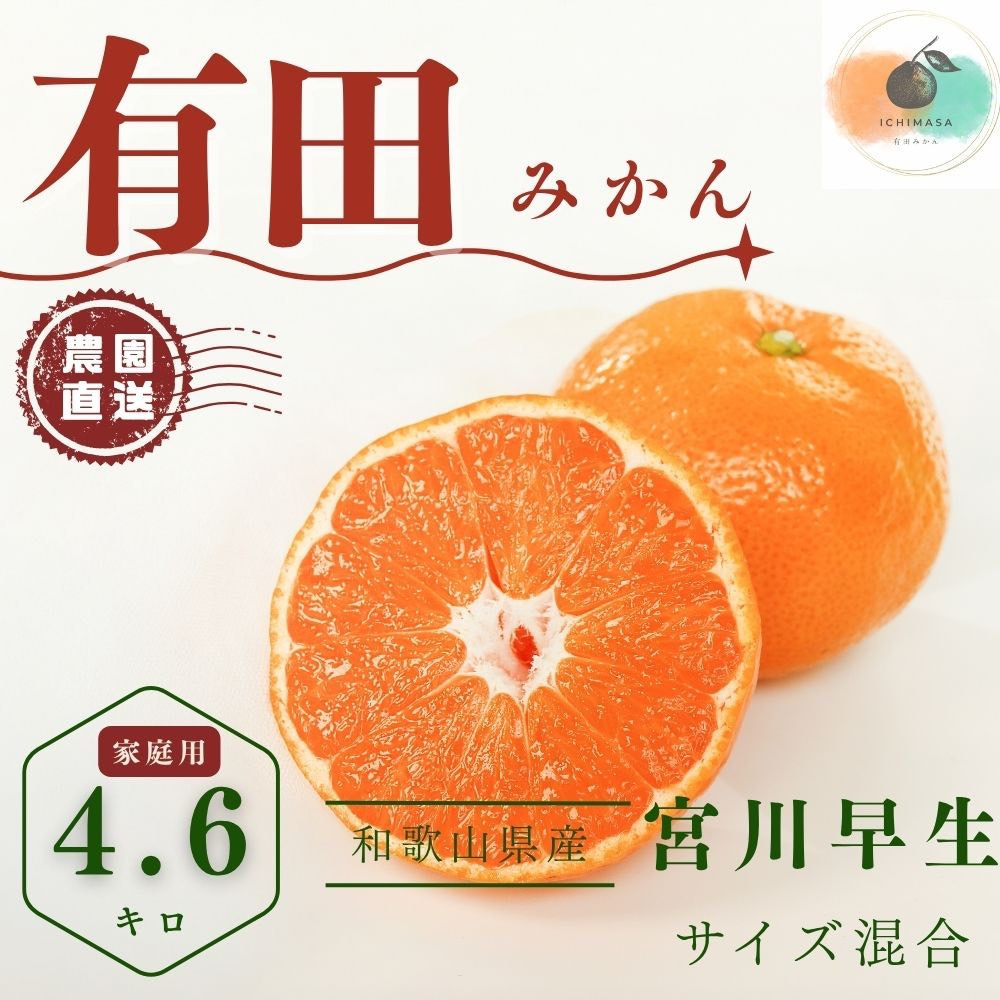 【ふるさと納税】【先行予約】有田みかん 早生 温州みかん 4.6kg（箱込み5kg） 家庭用 S～２Lサイズ 混合 柑橘 フルーツ みかん 産地直送 お取り寄せ 送料無料 温州ミカン