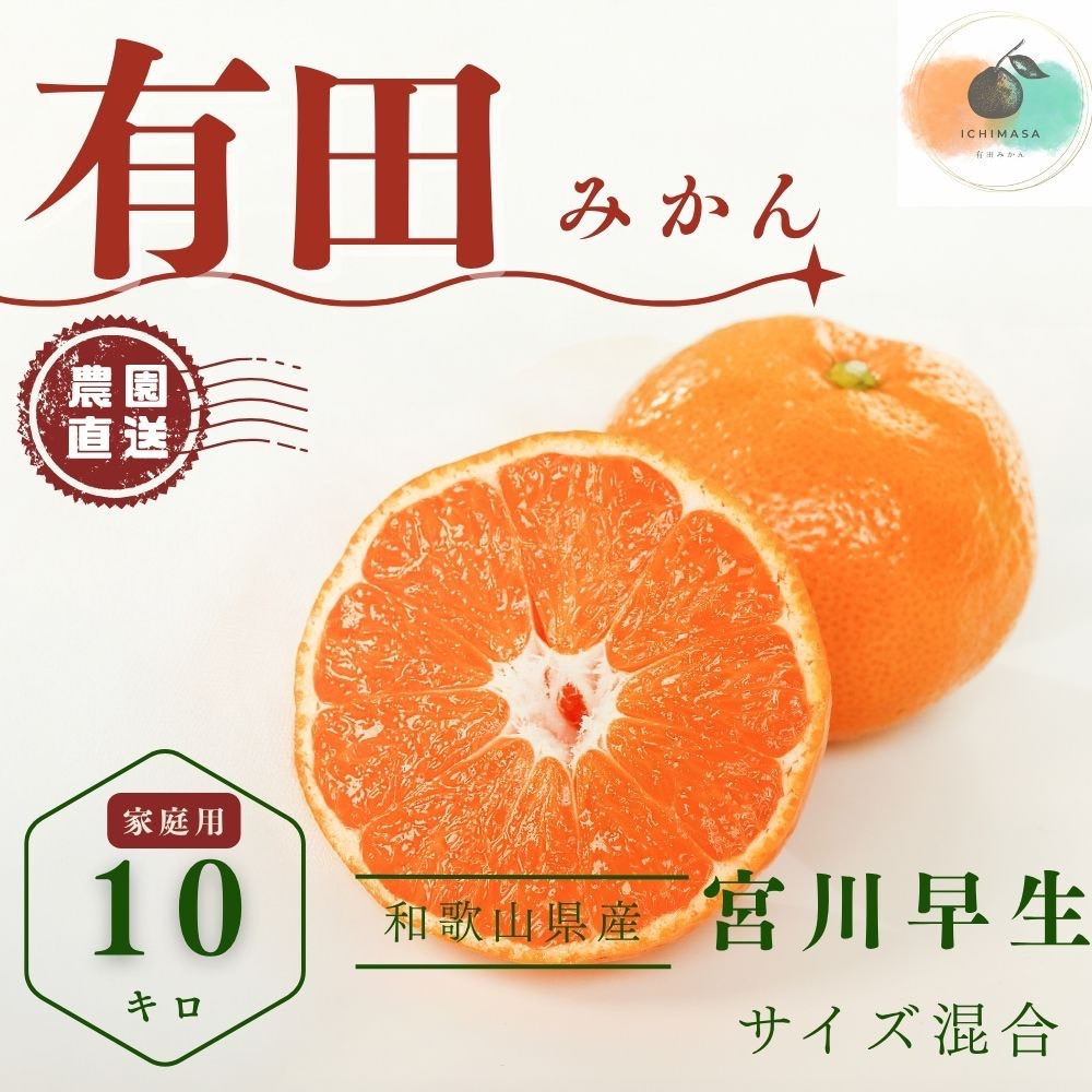 【ふるさと納税】【先行予約】有田みかん 早生 温州みかん 10kg 家庭用 S～２Lサイズ 混合 柑橘 フルーツ みかん 産地直送 お取り寄せ 送料無料 温州ミカン