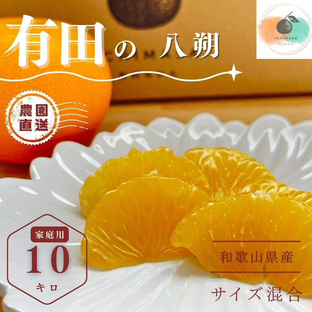 【ふるさと納税】【先行予約】 八朔 10kg 家庭用 サイズ混合 柑橘 フルーツ はっさく 産地直送 お取り寄せ 送料無料