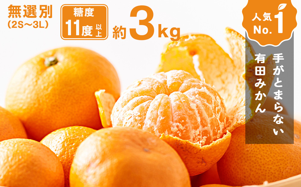 手が止まらない 訳あり 有田みかん 約3kg 大きさ無選別（2S〜3L） 糖度11度以上 鳴川農園 　［2026年11月以降発送予定］