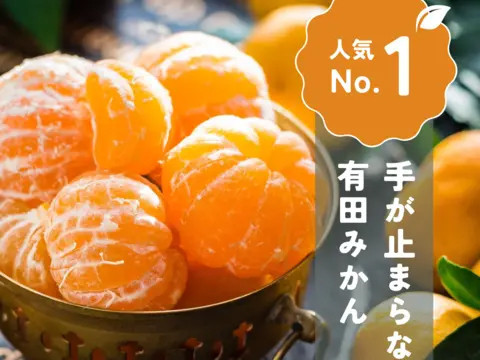 手が止まらない 訳あり 有田みかん 約5kg 大きさ無選別（2S〜3L） 糖度11度以上 鳴川農園