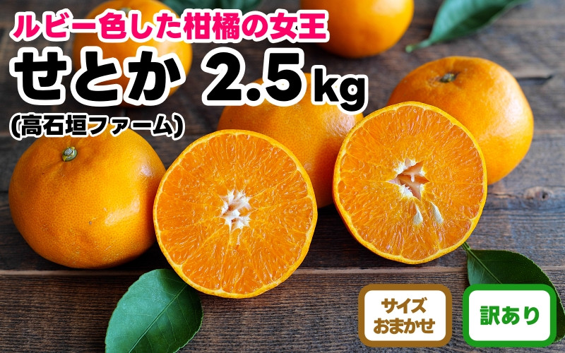 訳あり せとか 2.5kg M～2Lサイズおまかせ 高石垣ファーム
