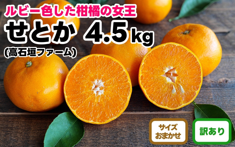 訳あり せとか 4.5kg M～2Lサイズおまかせ 高石垣ファーム
