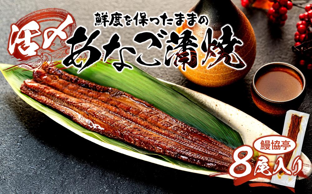 活〆 あなご 蒲焼 8尾セット（ 約700ｇ ）