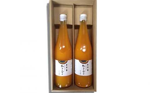 有田みかんストレートジュース 虹のしずく 720ml 2本ギフトセット
