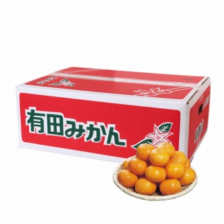 【数量限定】超高糖度 ハウス越冬完熟早生みかん 赤秀 5kg