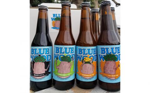 【定期便全12回】和歌山の地ビールブルーウッドブリュワリー飲み比べ6本セット