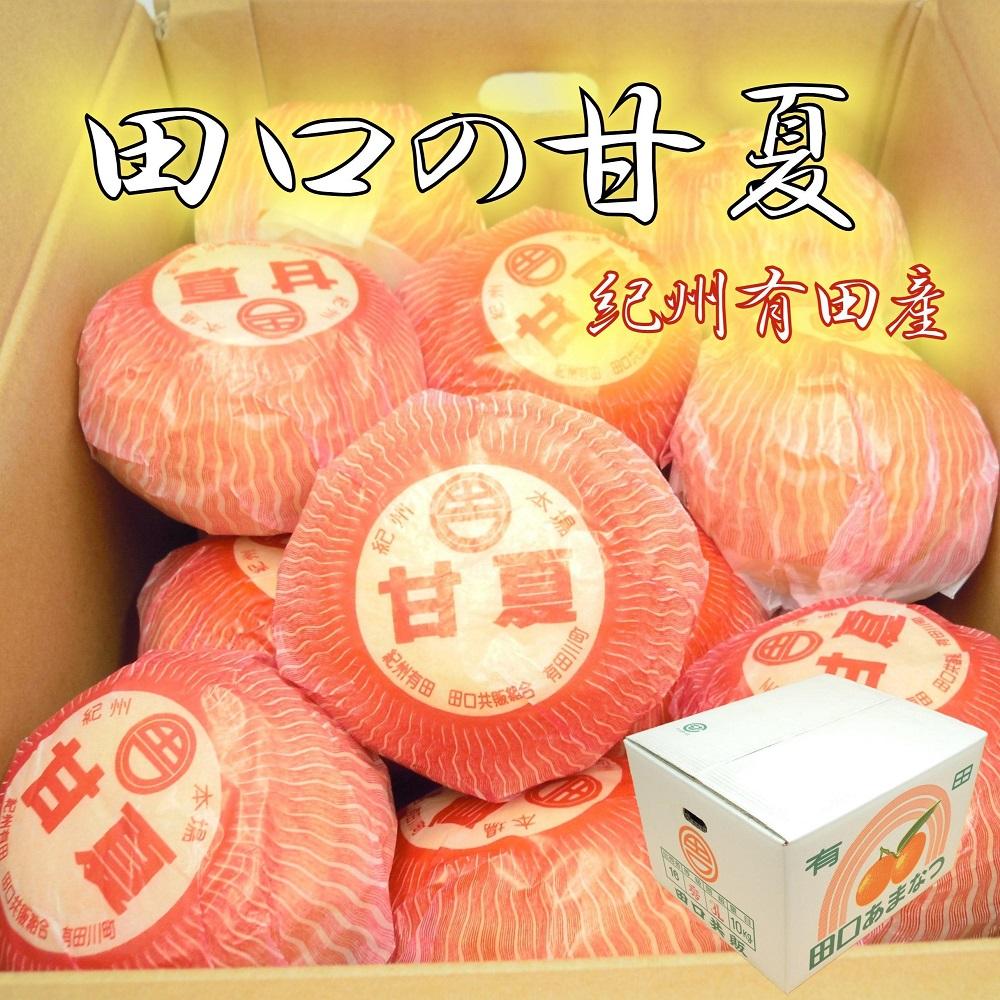 和歌山県産 田口の甘夏 秀品 10キロ 2Ｌ～3Ｌ（約23～21玉） サイズおまかせ