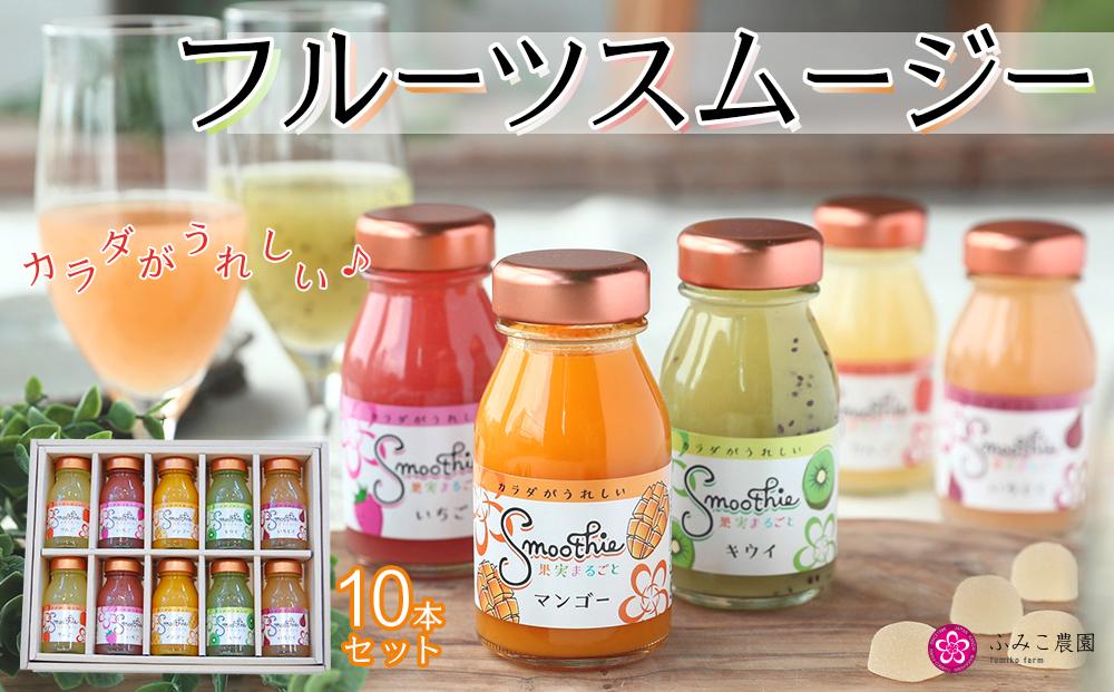フルーツスムージー　10本セット