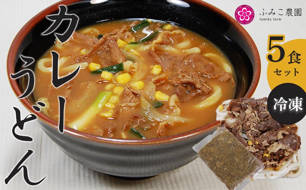冷凍　カレーうどん５食