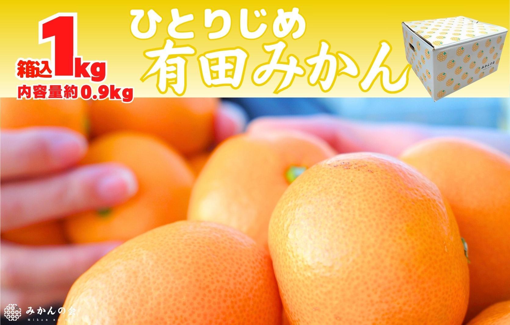 みかん ひとりじめ 箱込 約1kg(内容量約 0.9kg) サイズミックス 和歌山県産 産地直送 家庭用[みかんの会]