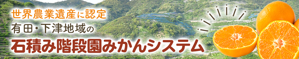 ＼令和7年8月 世界農業遺産に認定　「有田・下津地域の石積み階段園みかんシステム」 ／