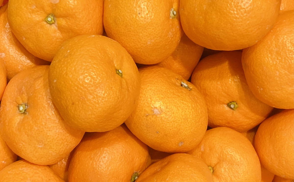 [秀品]和歌山有田みかん9kg(2Lサイズ)
※2025年11月中旬～2026