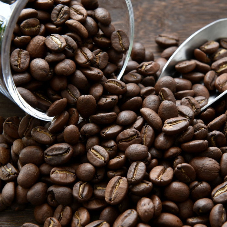 自家焙煎コーヒー豆（キリマンジャロ・モカイルガチェフ