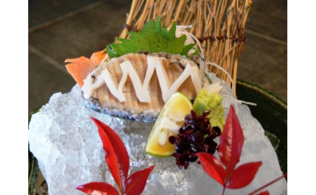 やわコリ食感紀州活アワビ【5個入】◇｜ 海産物 海鮮 魚介