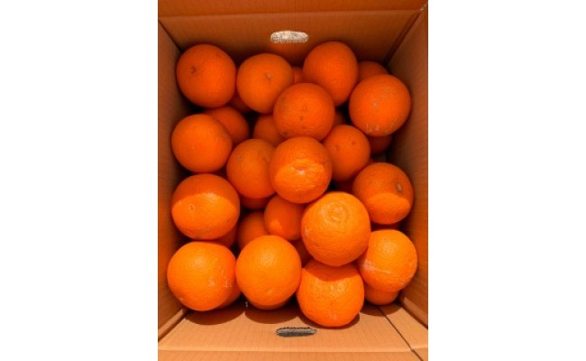 【ご家庭用訳アリ】紀州有田産清見オレンジ　７.５kg
※202