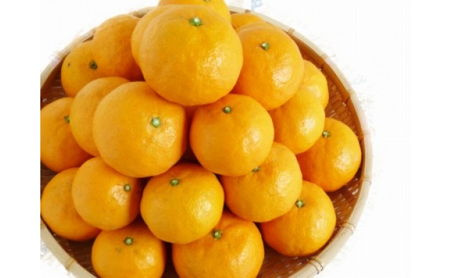 初夏のみかん なつみ５kg ふるさと納税 みかん
※着日指定