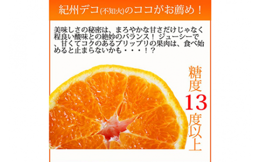 果肉プリプリ♪　完熟紀州デコ(不知火) 約3kg ｜ 柑橘 不知