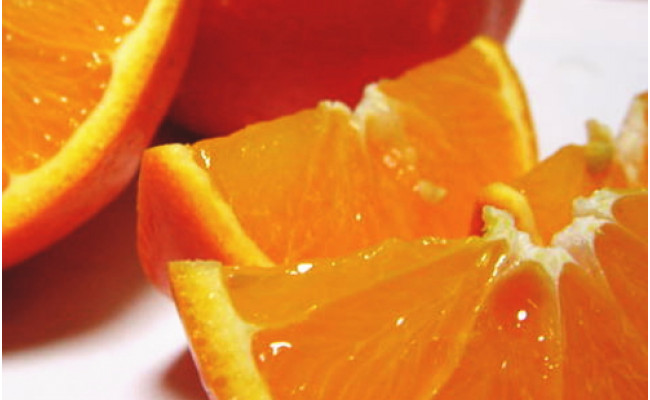 【先行予約】【春の美味】【農家直送】爽快カンキツ　セ