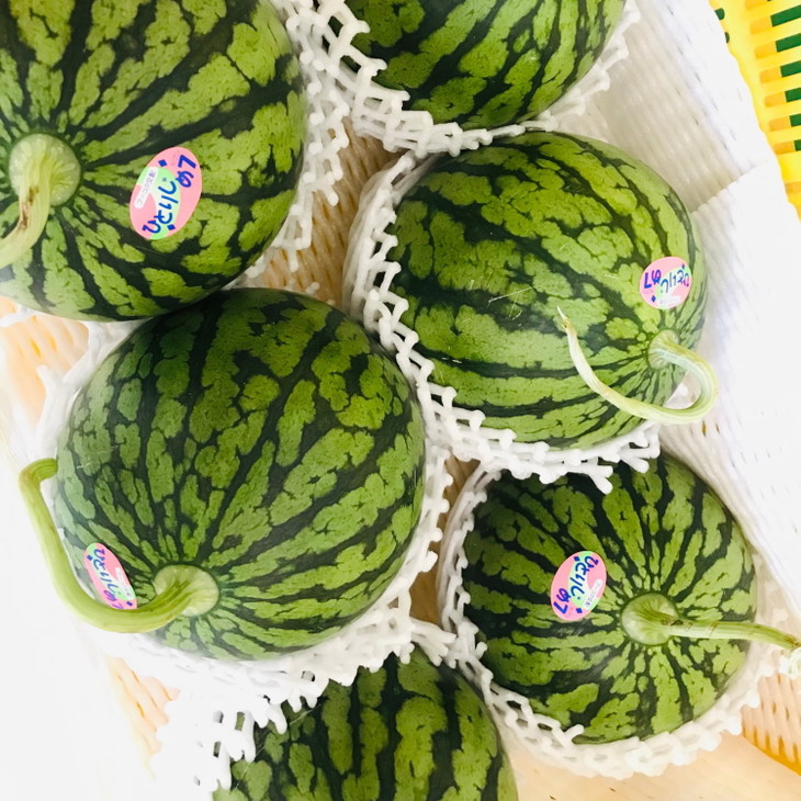 【農家直送】厳選！濃厚小玉すいか『ひとりじめ7(セブン)