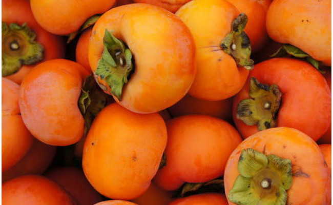 和歌山産富有柿ご家庭用約7.5kg ※2025年11月上旬～12月上旬頃